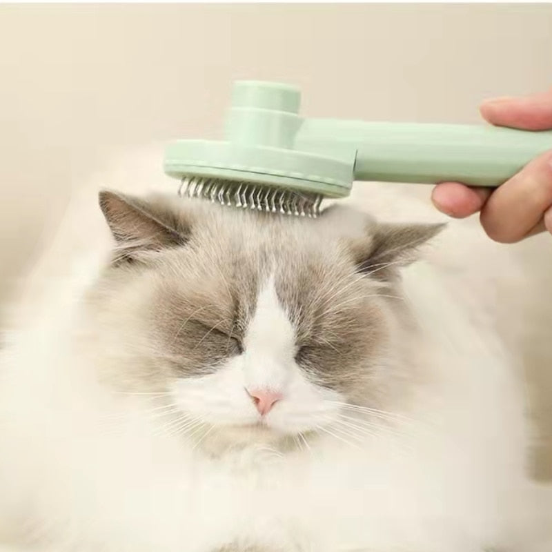 Pet Hair Brush